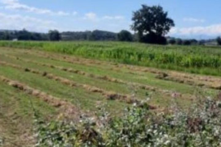 Vendita immobili Stato Calabria: via libera alla cessione di 31 beni