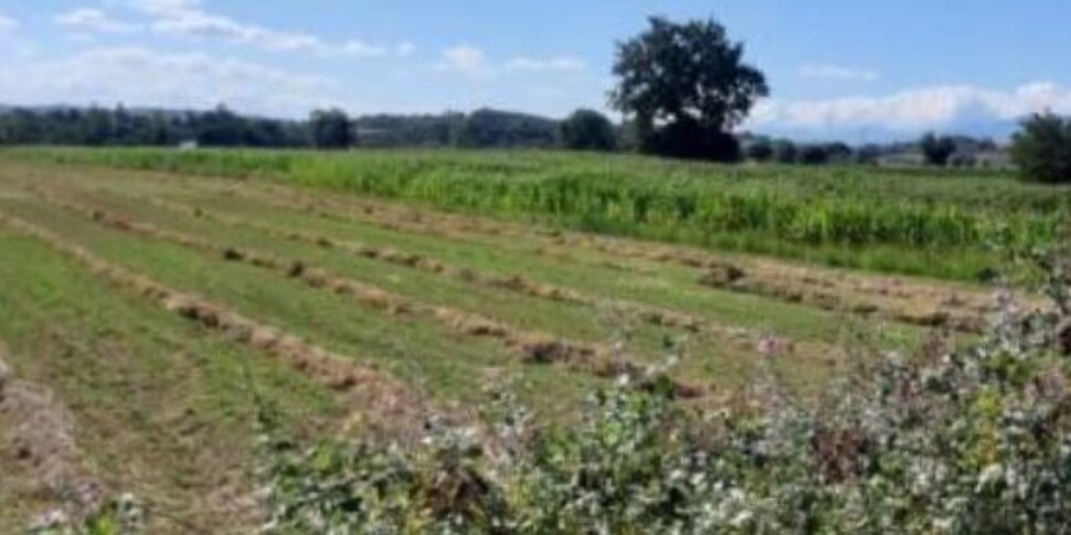 Vendita immobili Stato Calabria: via libera alla cessione di 31 beni