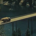 economia dei boschi della Sila