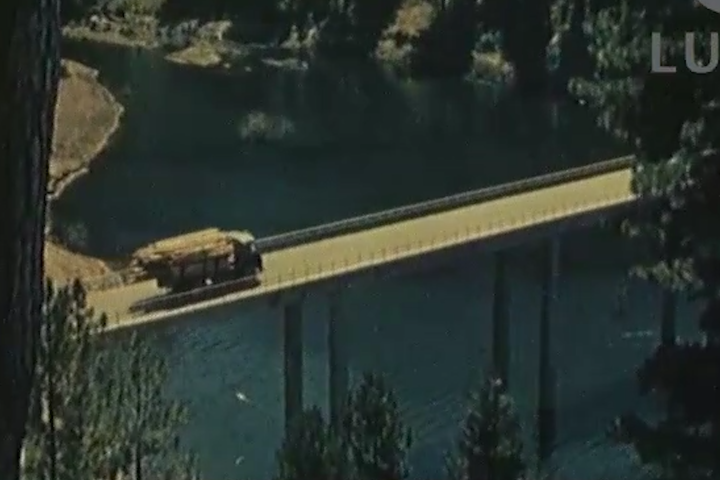 economia dei boschi della Sila