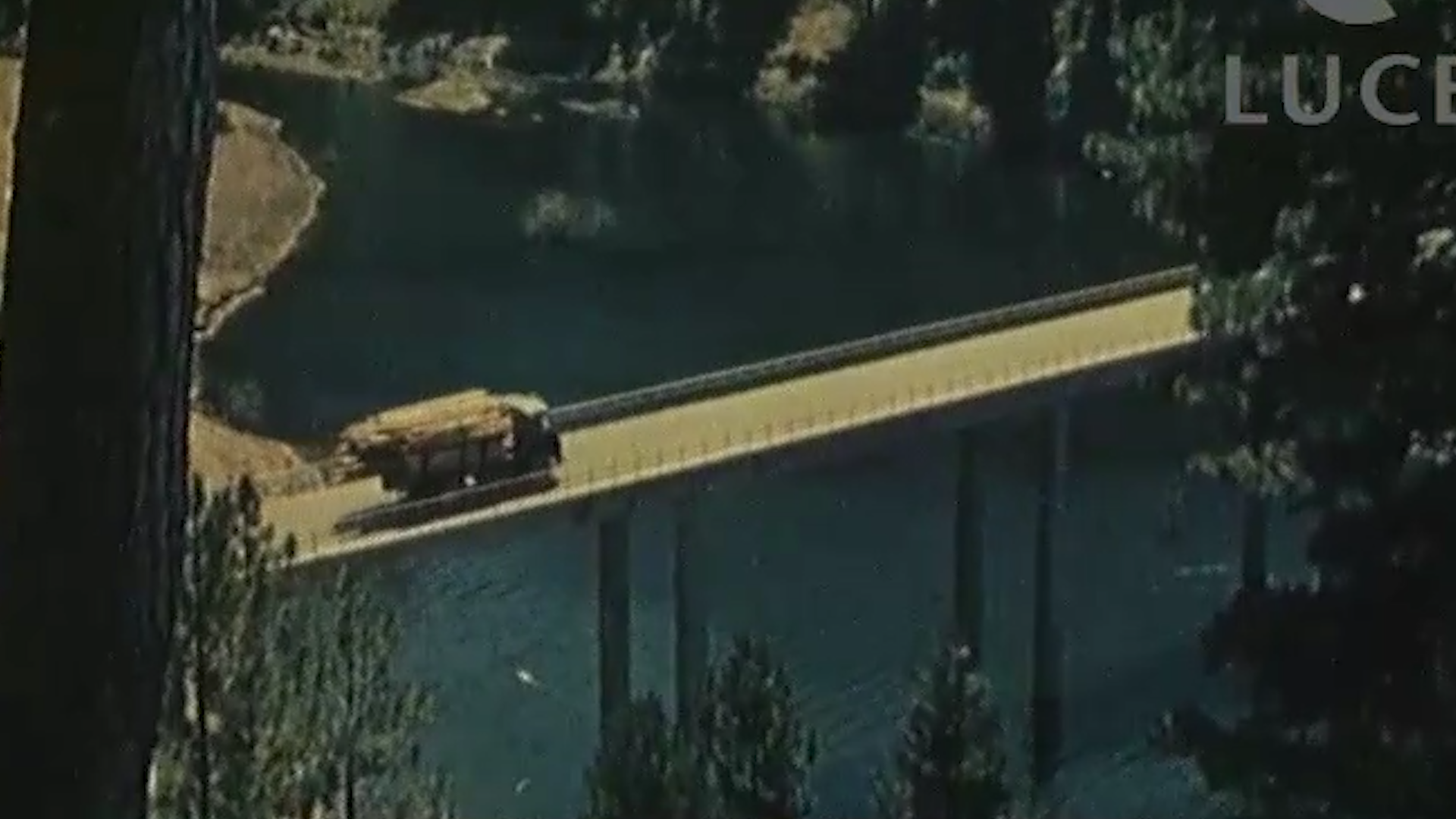 economia dei boschi della Sila